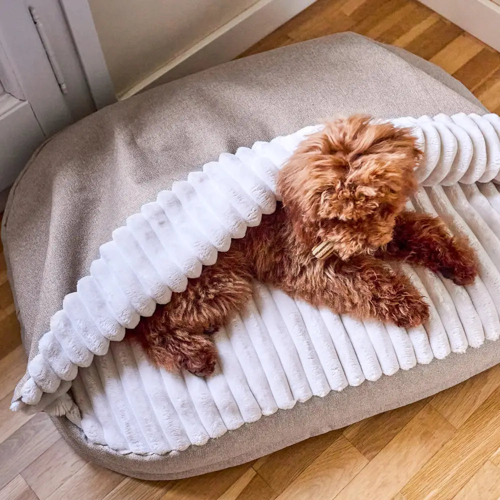 MASO HUNDEBETT MIT KAPUZE (BEIGE)
