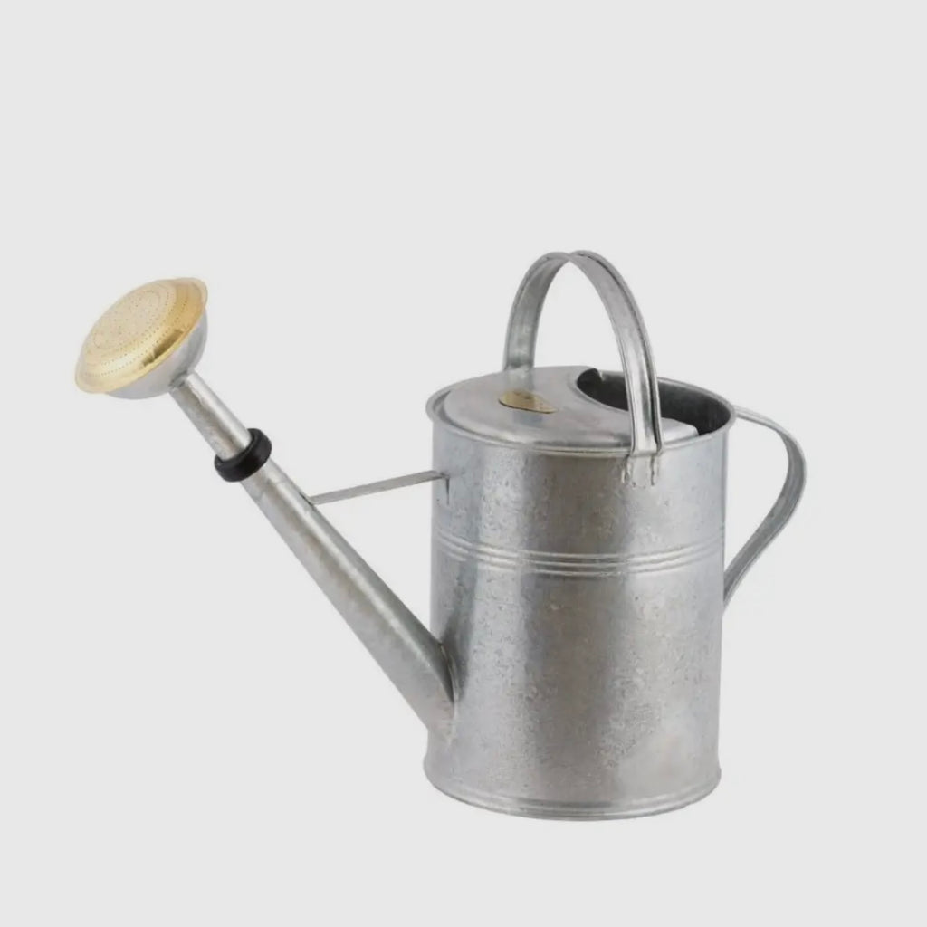 FEUERVERZINKTE GIEẞKANNE MIT MESSINGKOPF (9 LITER)