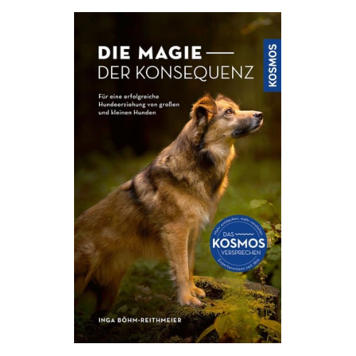BUCH | DIE MAGIE DER KONSEQUENZ