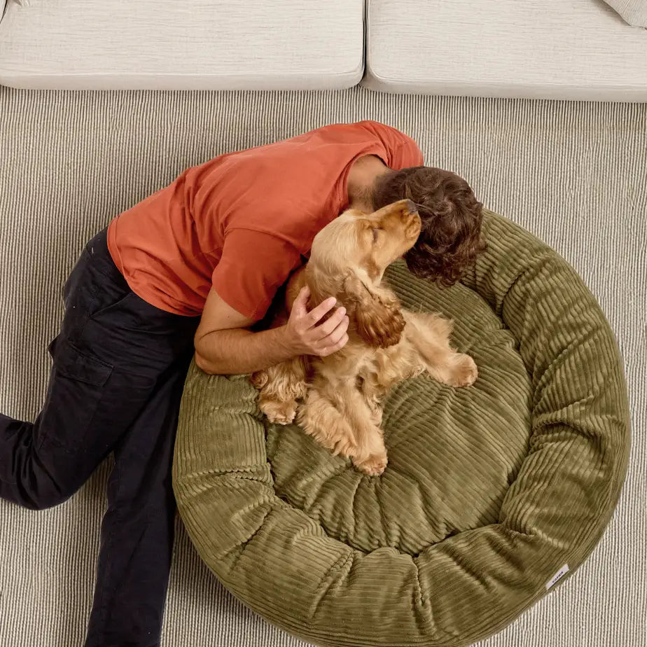 NUBA HUNDEBETT AUS CORD (GRÜN)