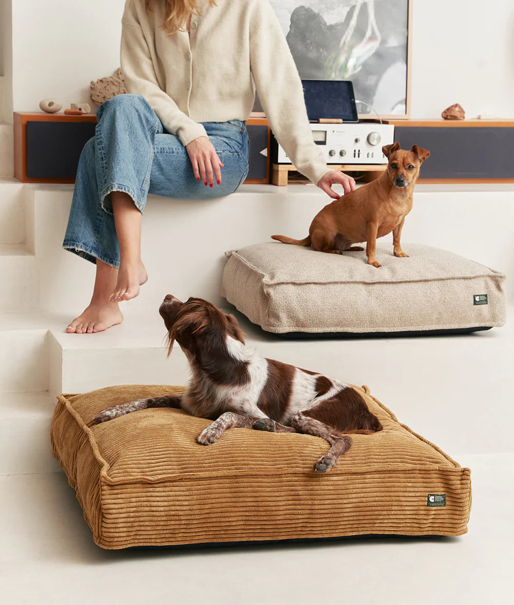 CUADRA HUNDEBETT MIT CORDBEZUG (SENF)