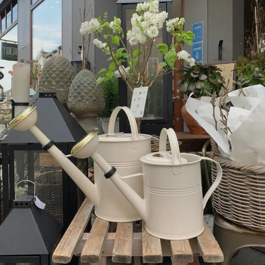 FEUERVERZINKTE GIEẞKANNE MIT MESSINGKOPF (9 LITER)