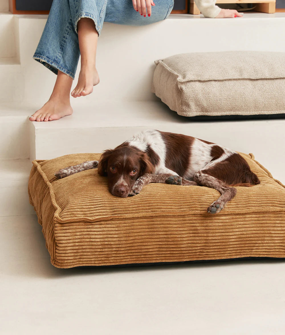 CUADRA HUNDEBETT MIT CORDBEZUG (SENF)