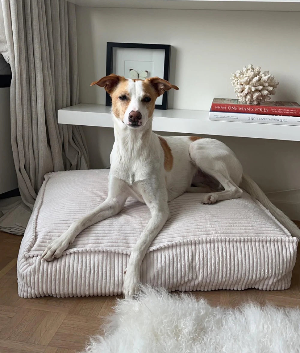 CUADRA HUNDEBETT MIT CORDBEZUG (WEIß)