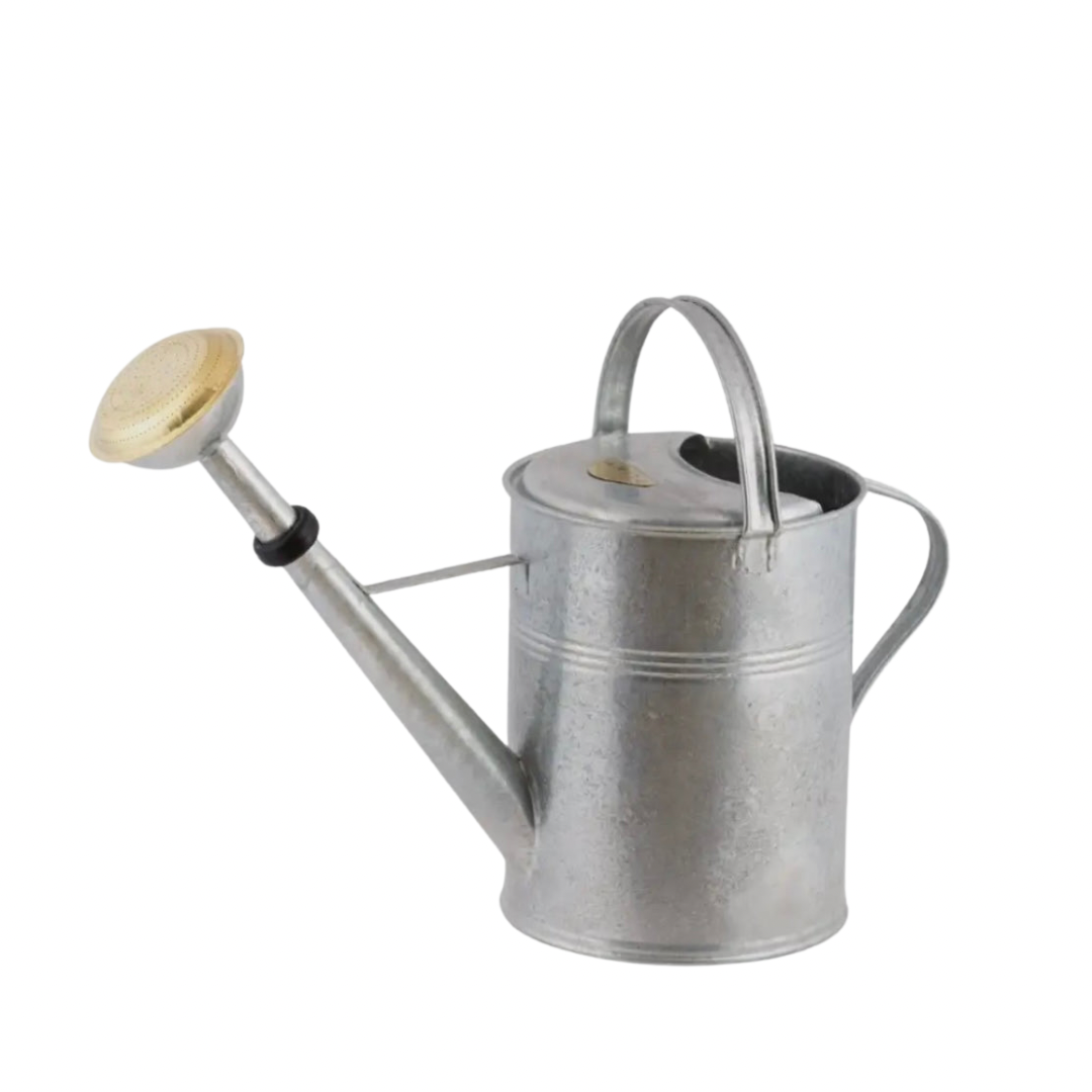 FEUERVERZINKTE GIEẞKANNE MIT MESSINGKOPF (9 LITER)