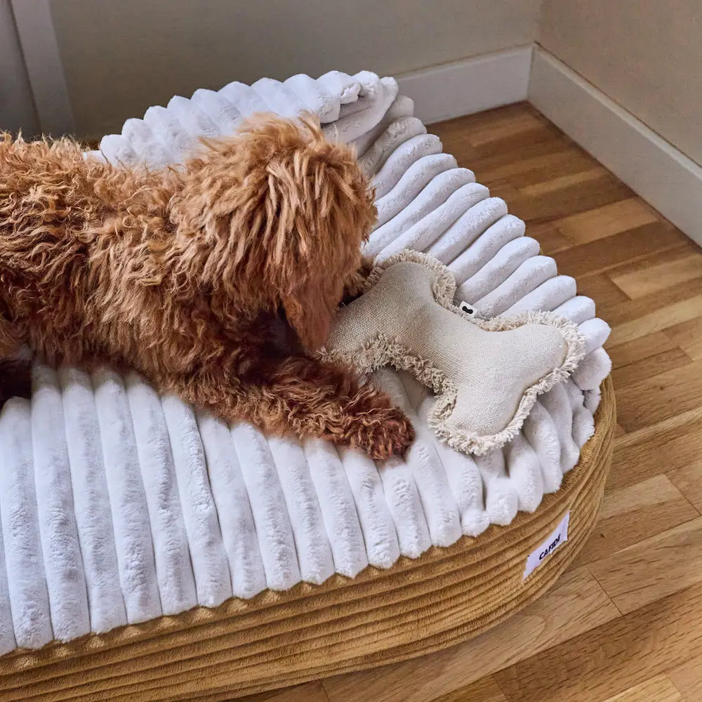 MASO HUNDEBETT MIT KAPUZE (SENF)