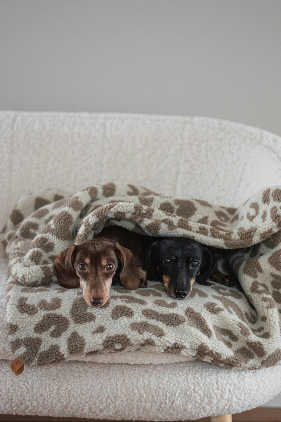 HUNDEDECKE NUBE (LEO BEIGE/BRAUN)