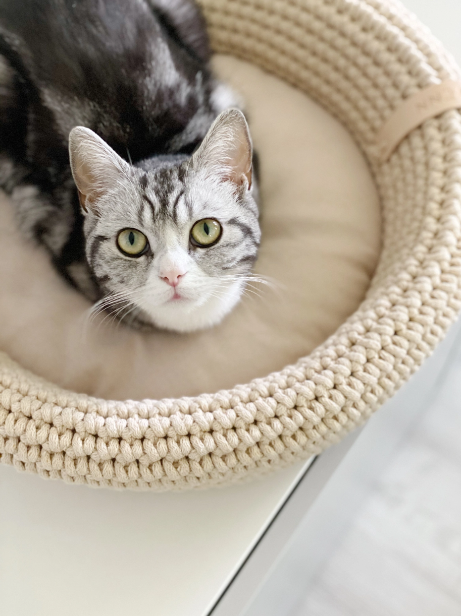 HUNDE-/KATZENKORB - 45cm