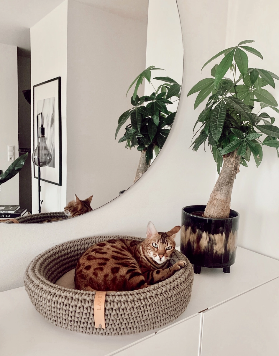 HUNDE-/KATZENKORB - 45cm