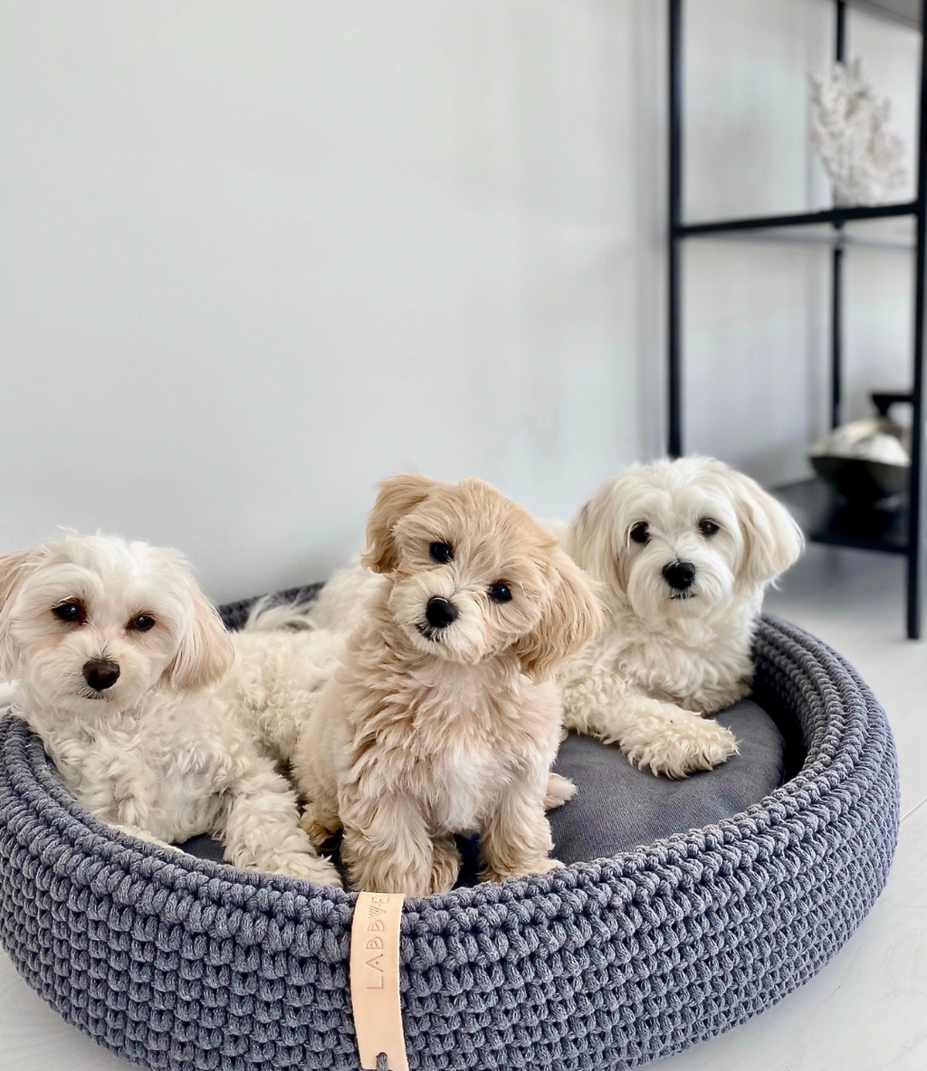 HUNDEKORB AUS BAUMWOLLE - 70cm