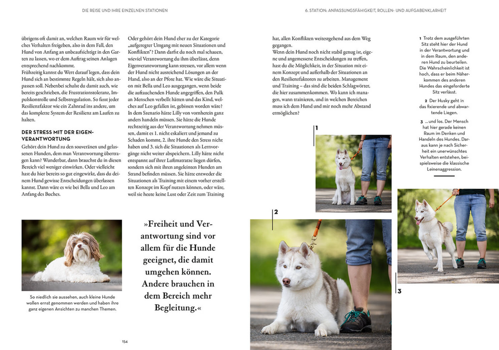 BUCH | RESILIENZ BEI HUNDEN