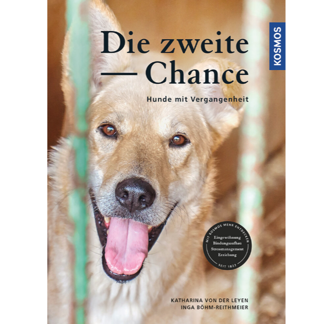 BUCH | DIE ZWEITE CHANCE