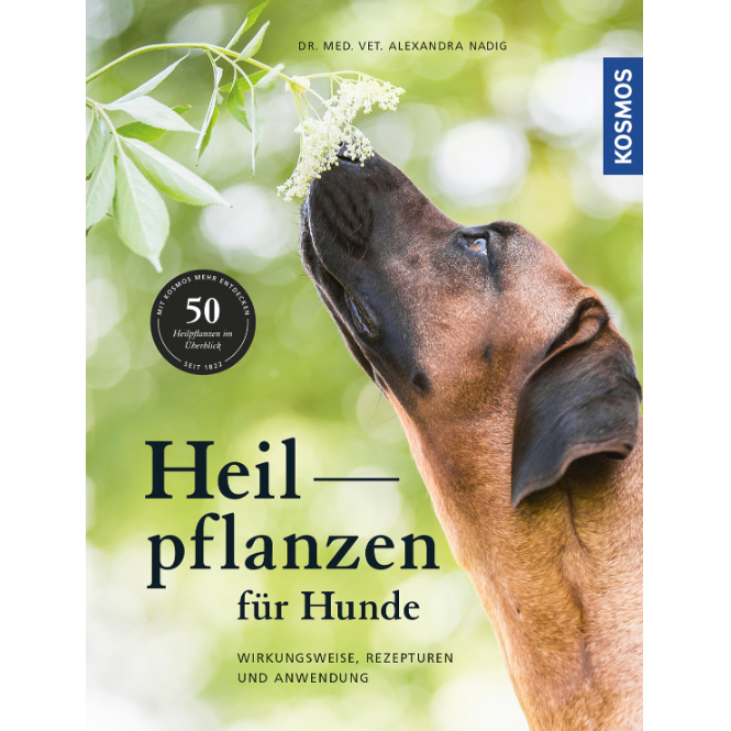 BUCH | HEILPFLANZEN FÜR HUNDE