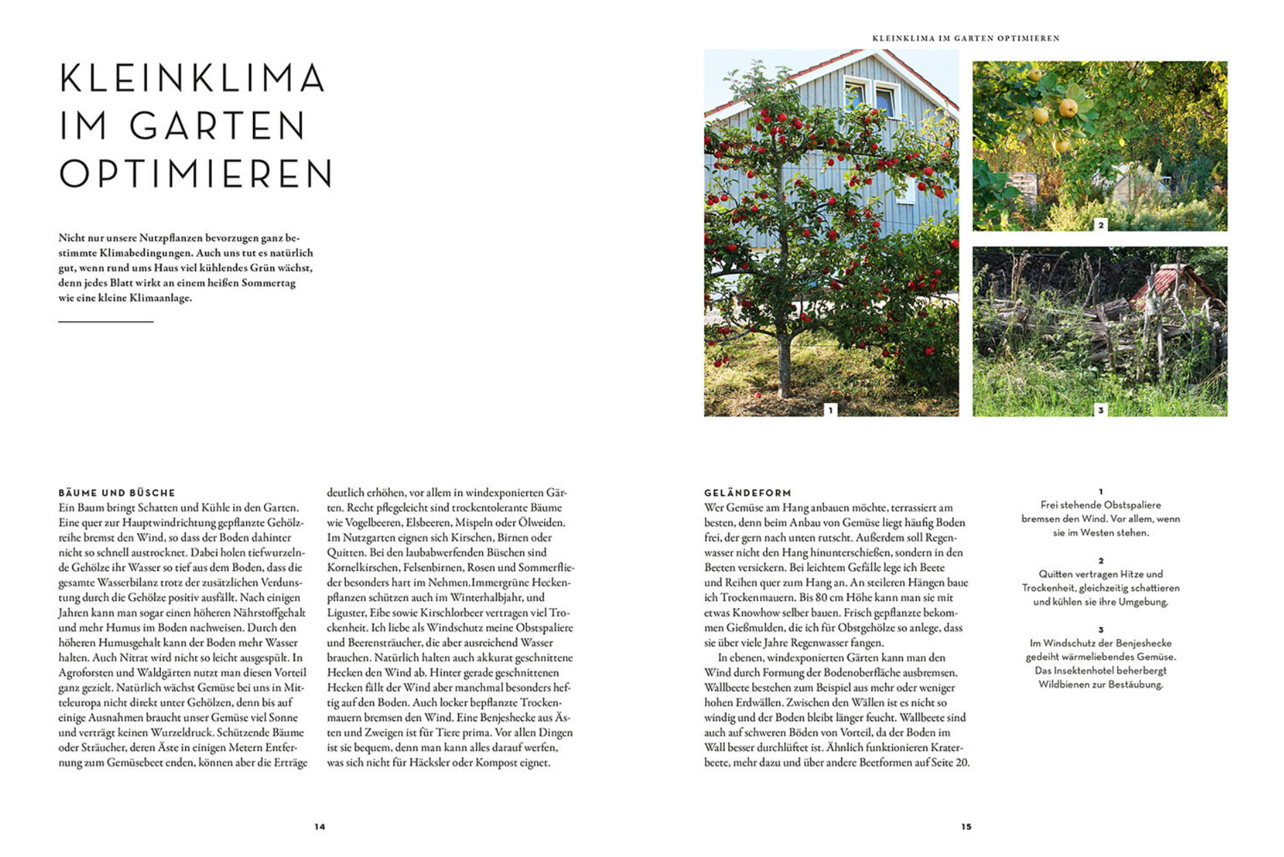 BUCH | TROCKENHELDEN IM GEMÜSEBEET