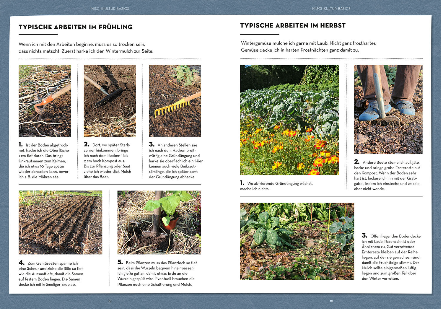 BUCH | WER KANN MIT WEM IM BEET?