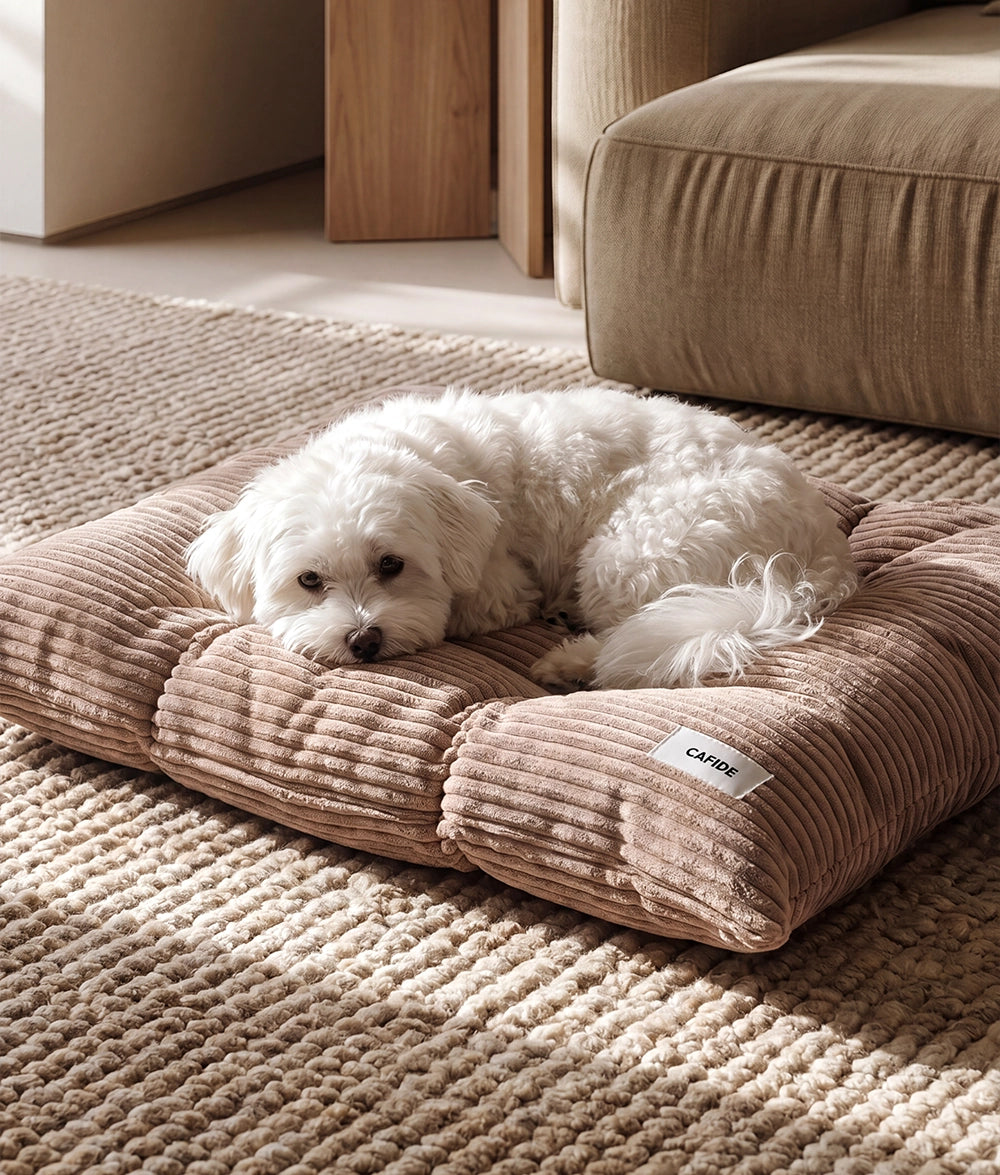 BELA HUNDEKISSEN CORD (MOCCHA BEIGE)