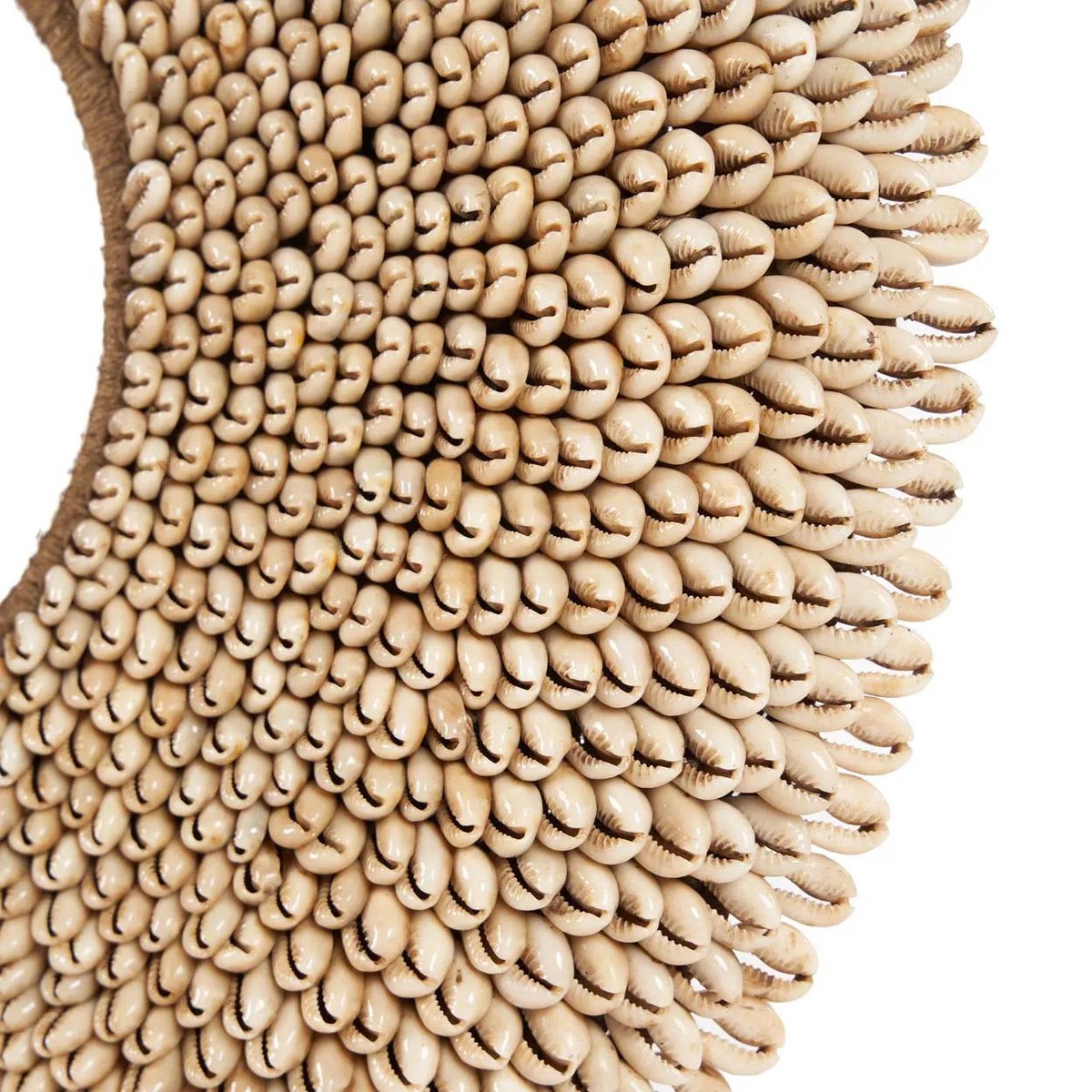 MUSCHELSKULPTUR RÉUNION AUF STANDFUß - 52cm