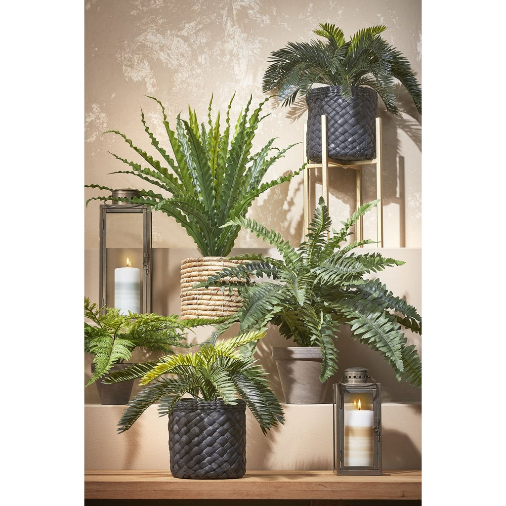 ARZILLA LATERNE (GOLD) - 35cm