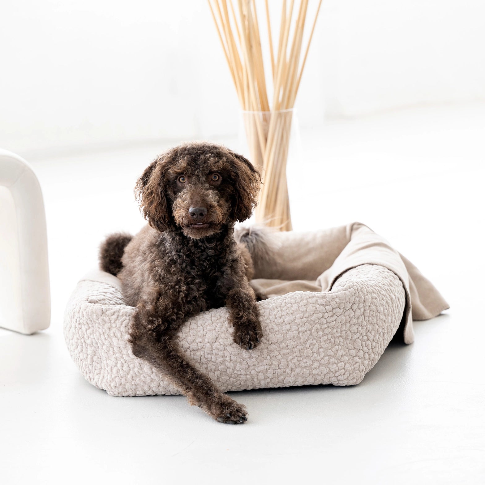 BELLAGIO HUNDEBETT