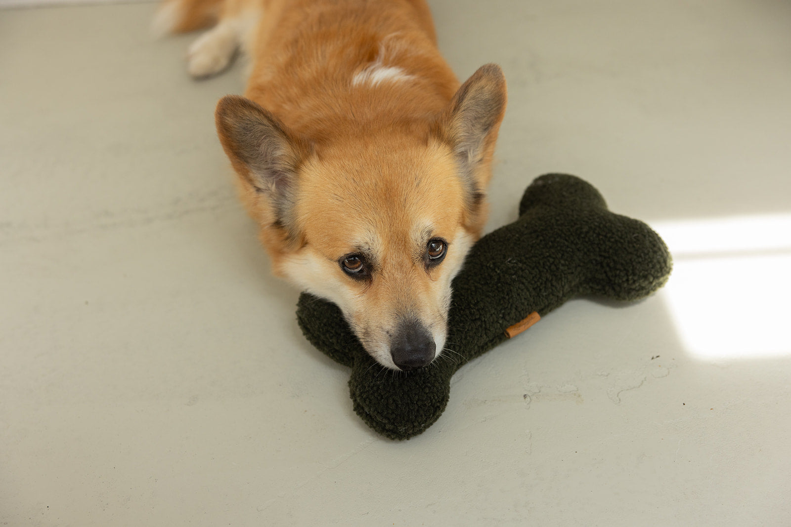 HUNDESPIELZEUG KNOCHEN (OLIVE)