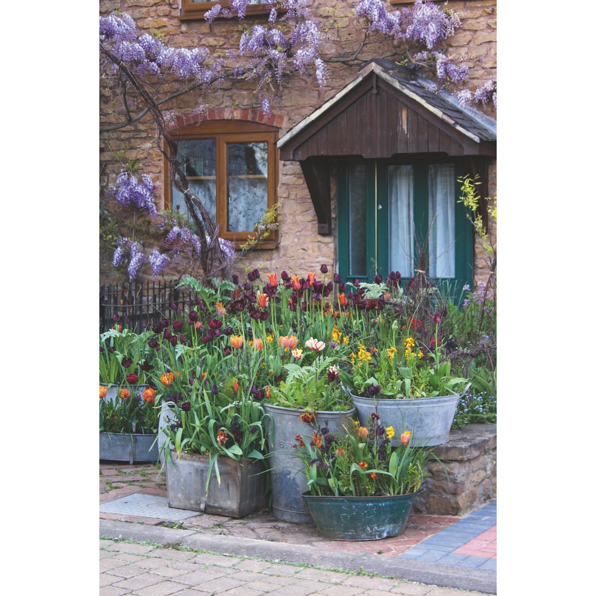 BUCH | BLUMENPRACHT IN TÖPFEN