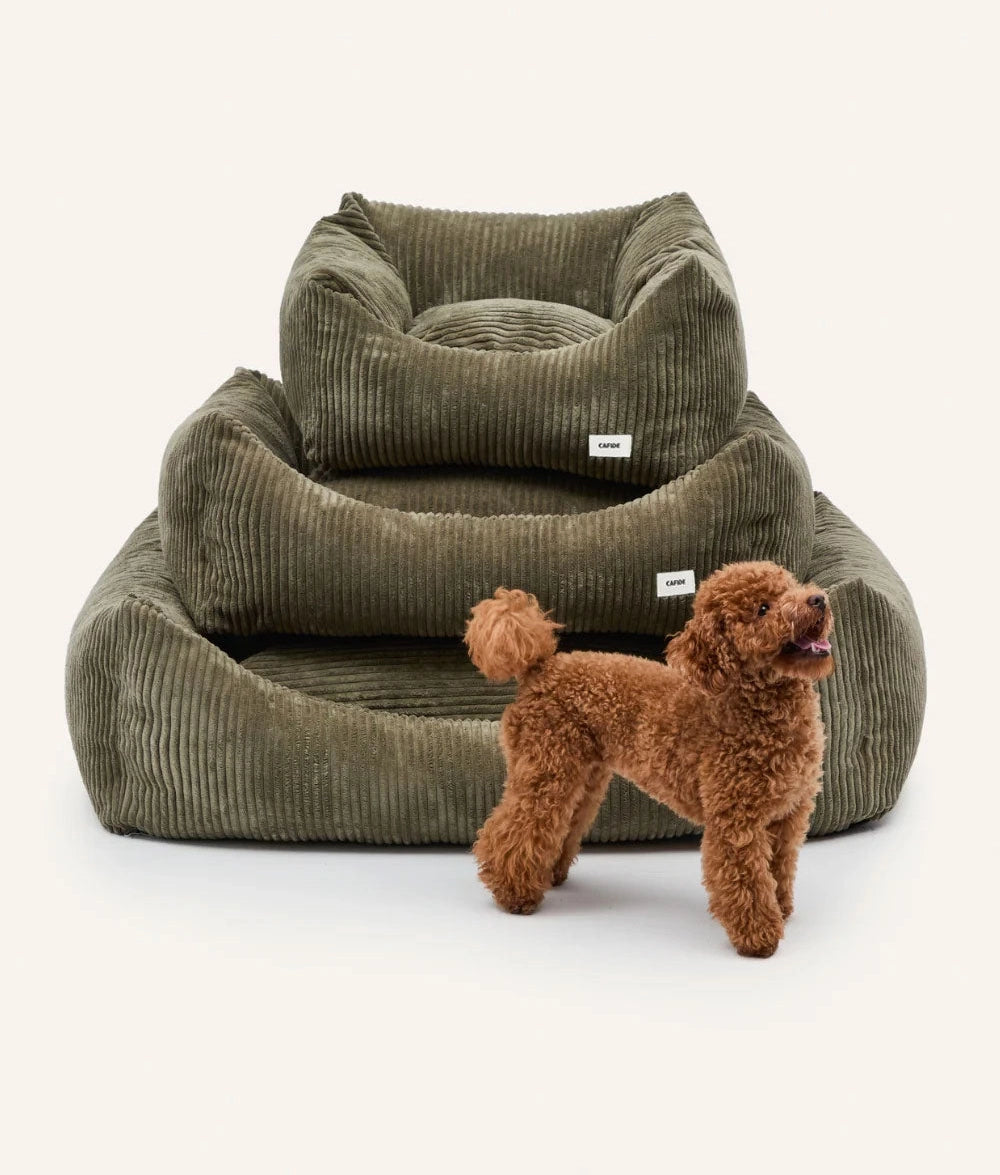 SNOZY HUNDEBETT AUS CORD (GRÜN)
