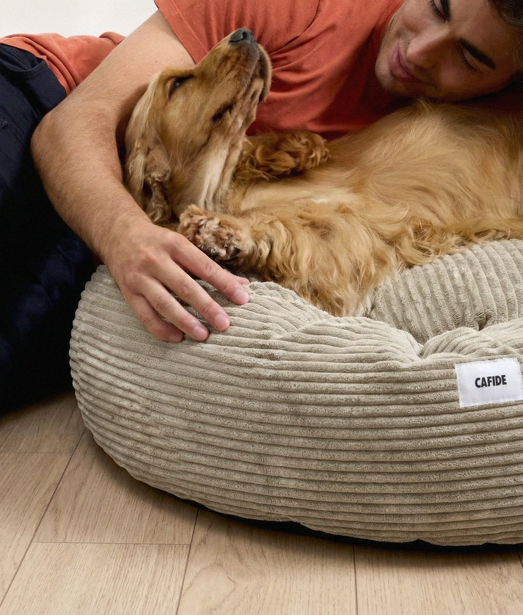 NUBA HUNDEBETT AUS CORD (BEIGE)
