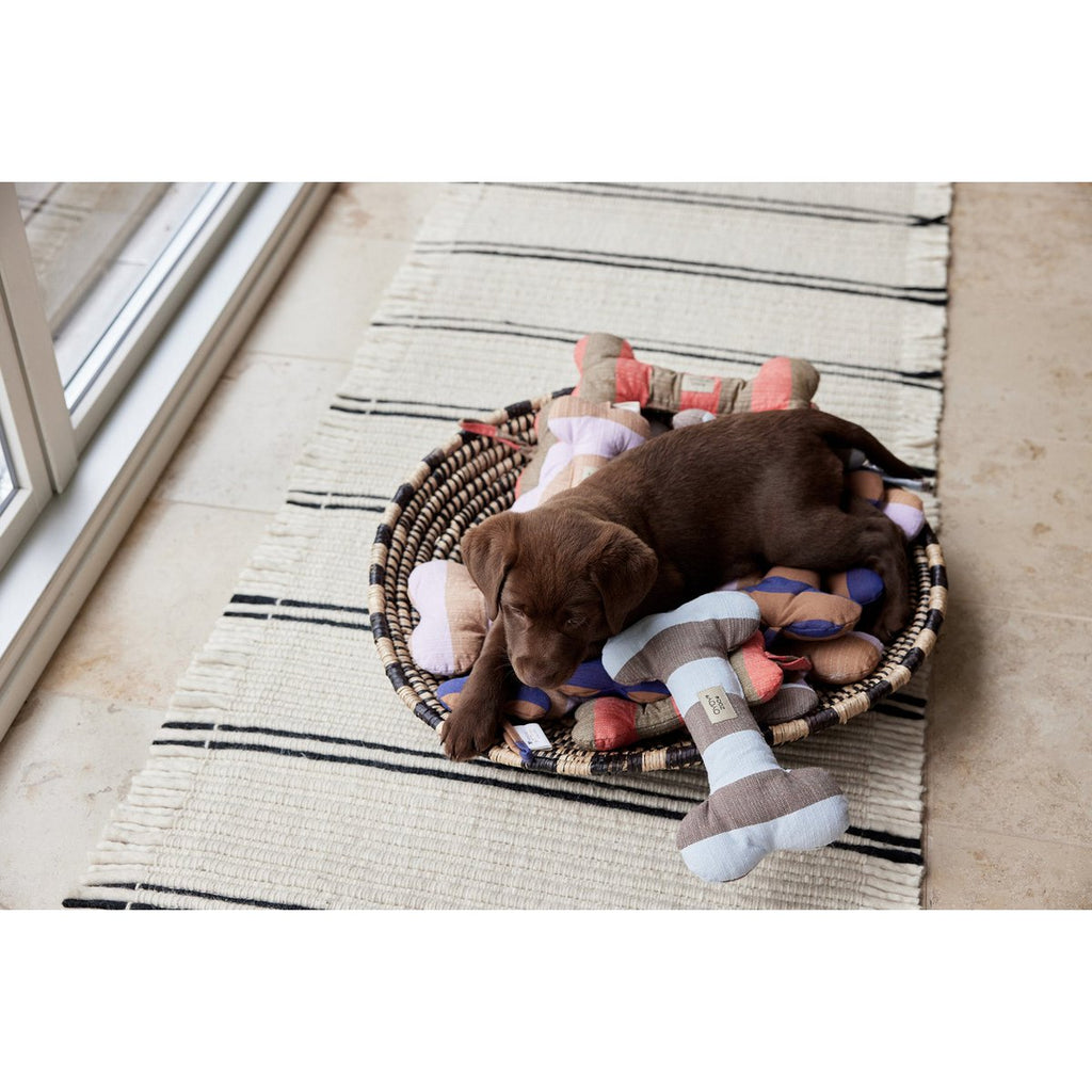 ASHI HUNDESPIELZEUG (BLAU/BRAUN)