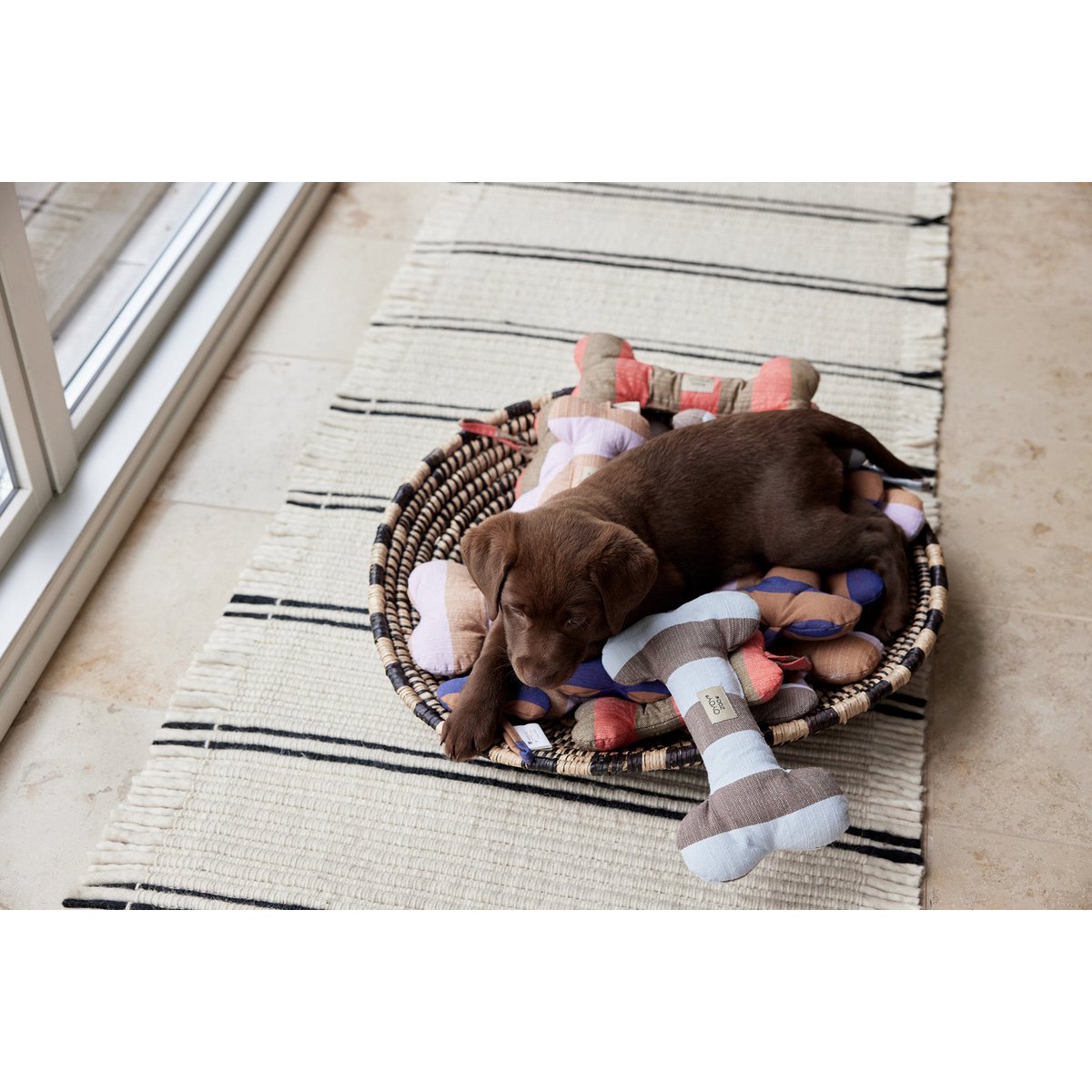 ASHI HUNDESPIELZEUG (BLAU/BRAUN)