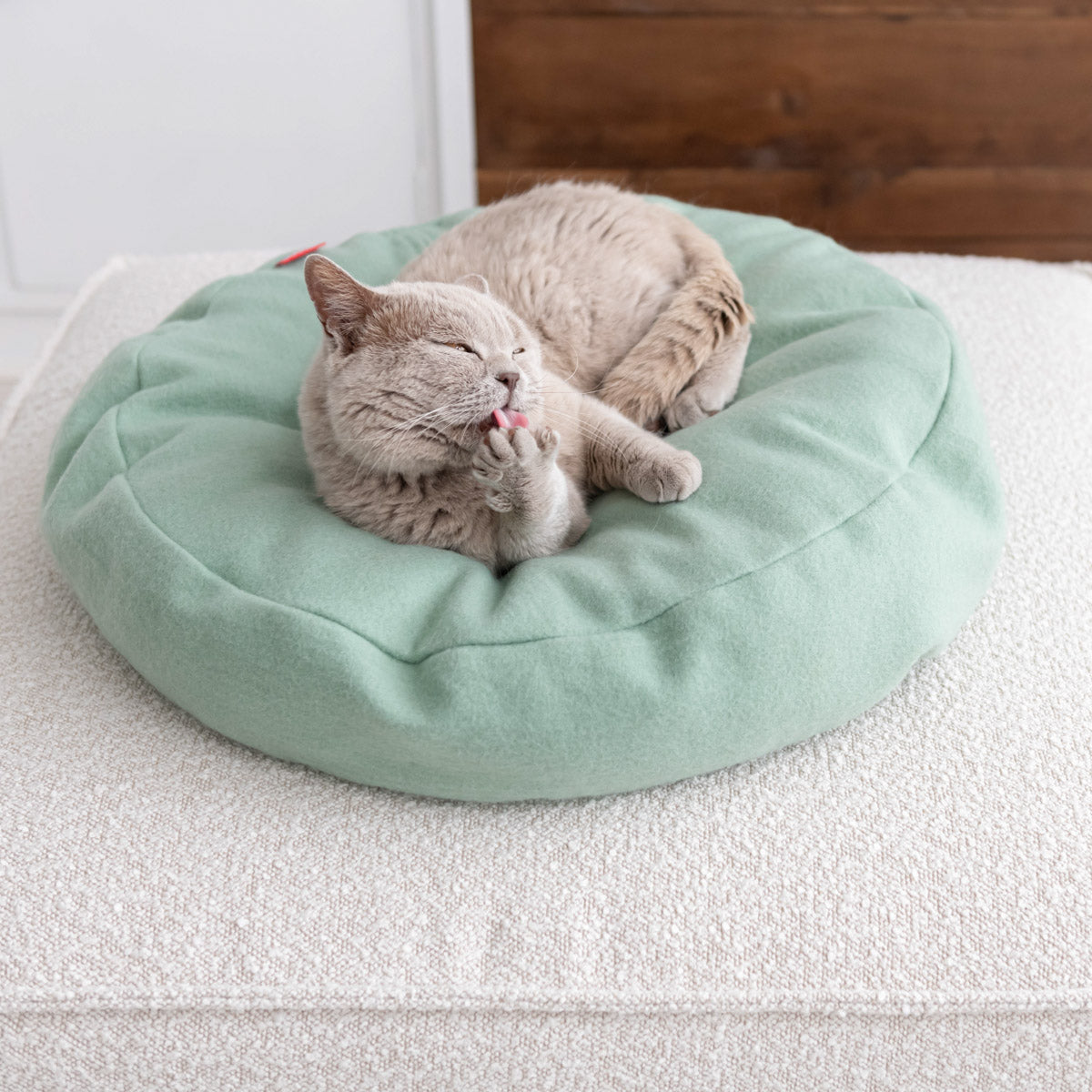 KATZEN SCHLAFDONUT (SALBEI)