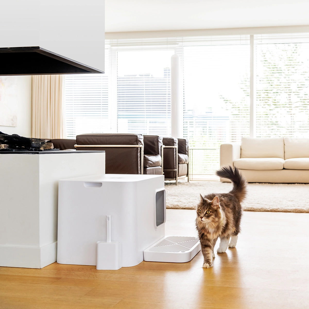 KATZENTOILETTE DOME PLUS