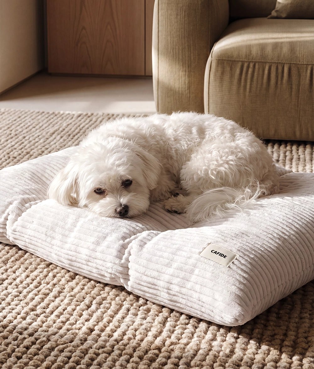 BELA HUNDEKISSEN CORD (WEIß)