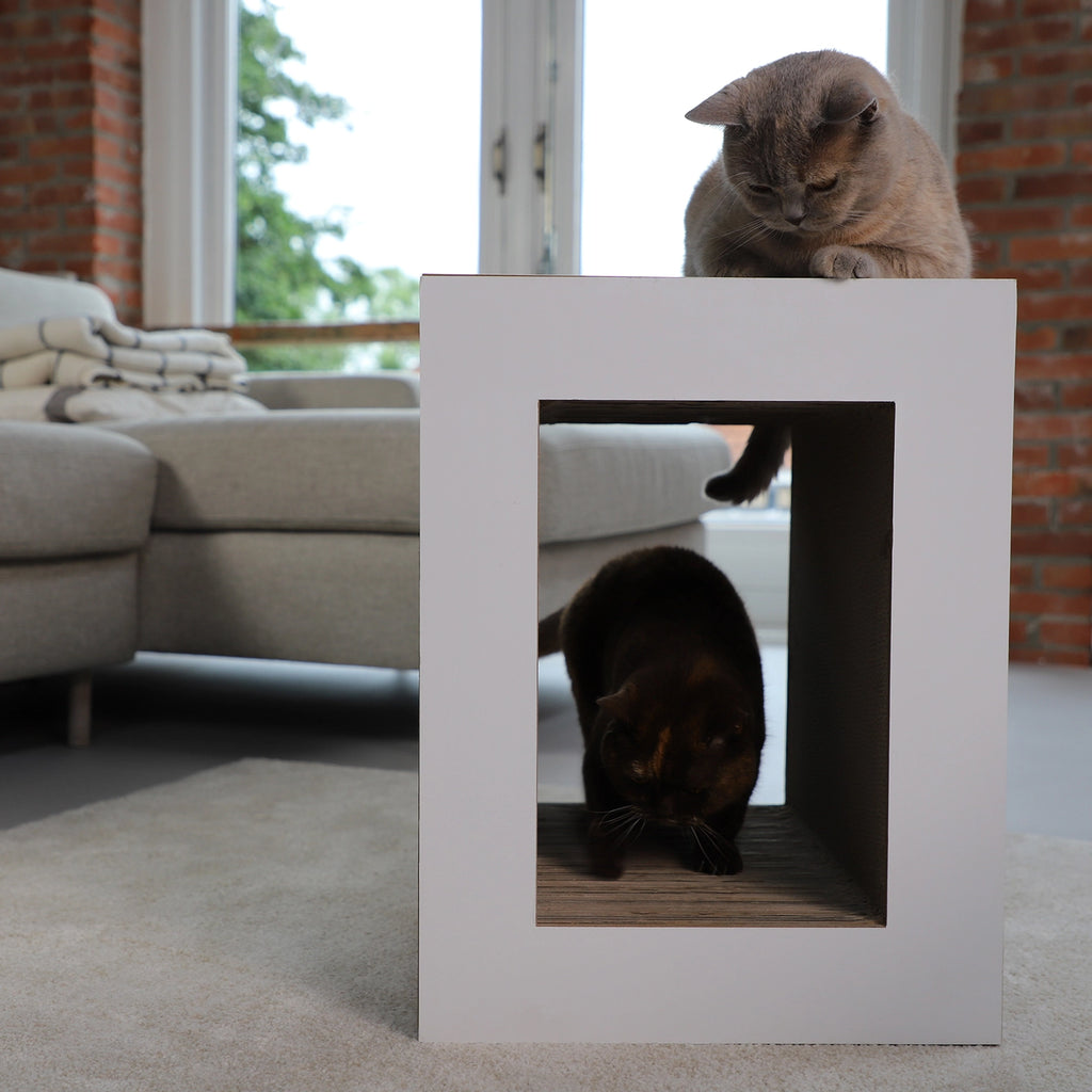 KATZEN KRATZBOARD - TISCH