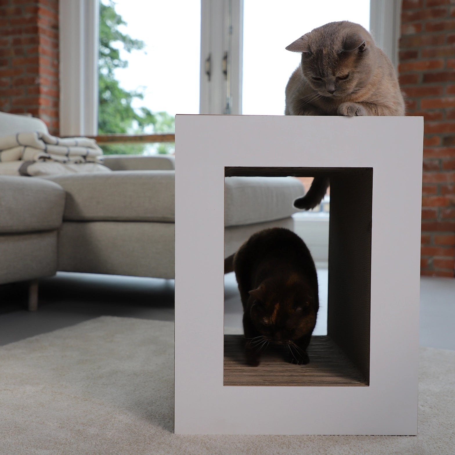 KATZEN KRATZBOARD - TISCH