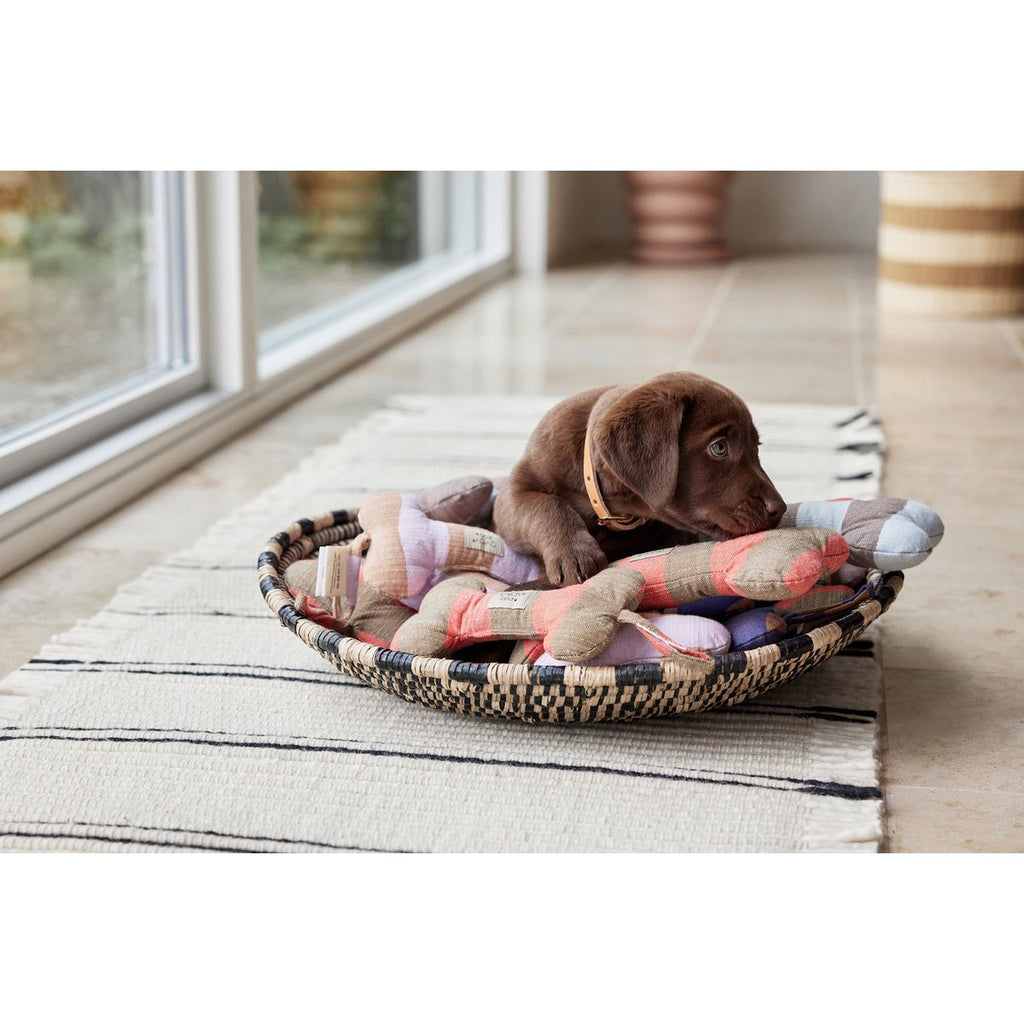 ASHI HUNDESPIELZEUG (BRAUN/APRICOT)