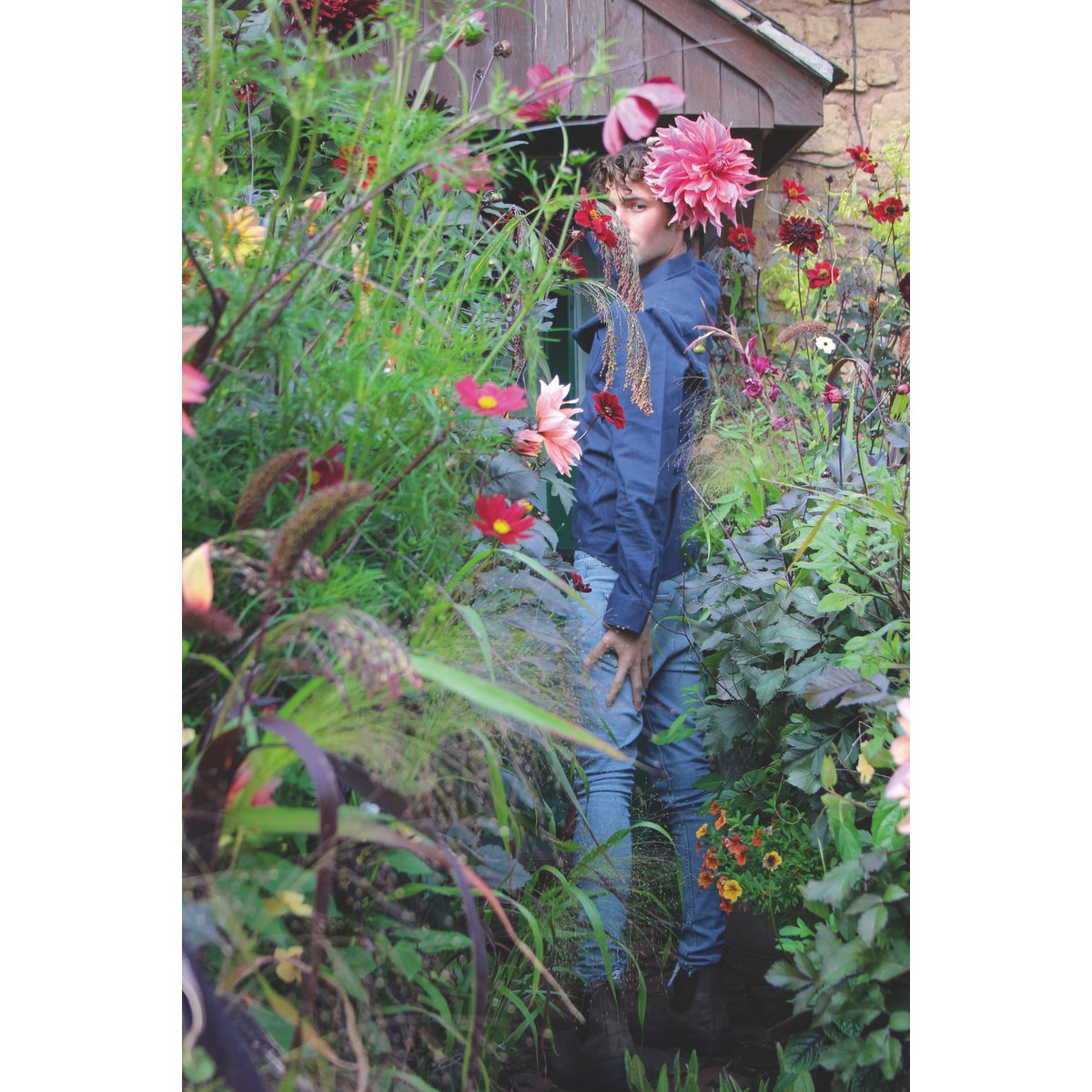 BUCH | BLUMENPRACHT IN TÖPFEN