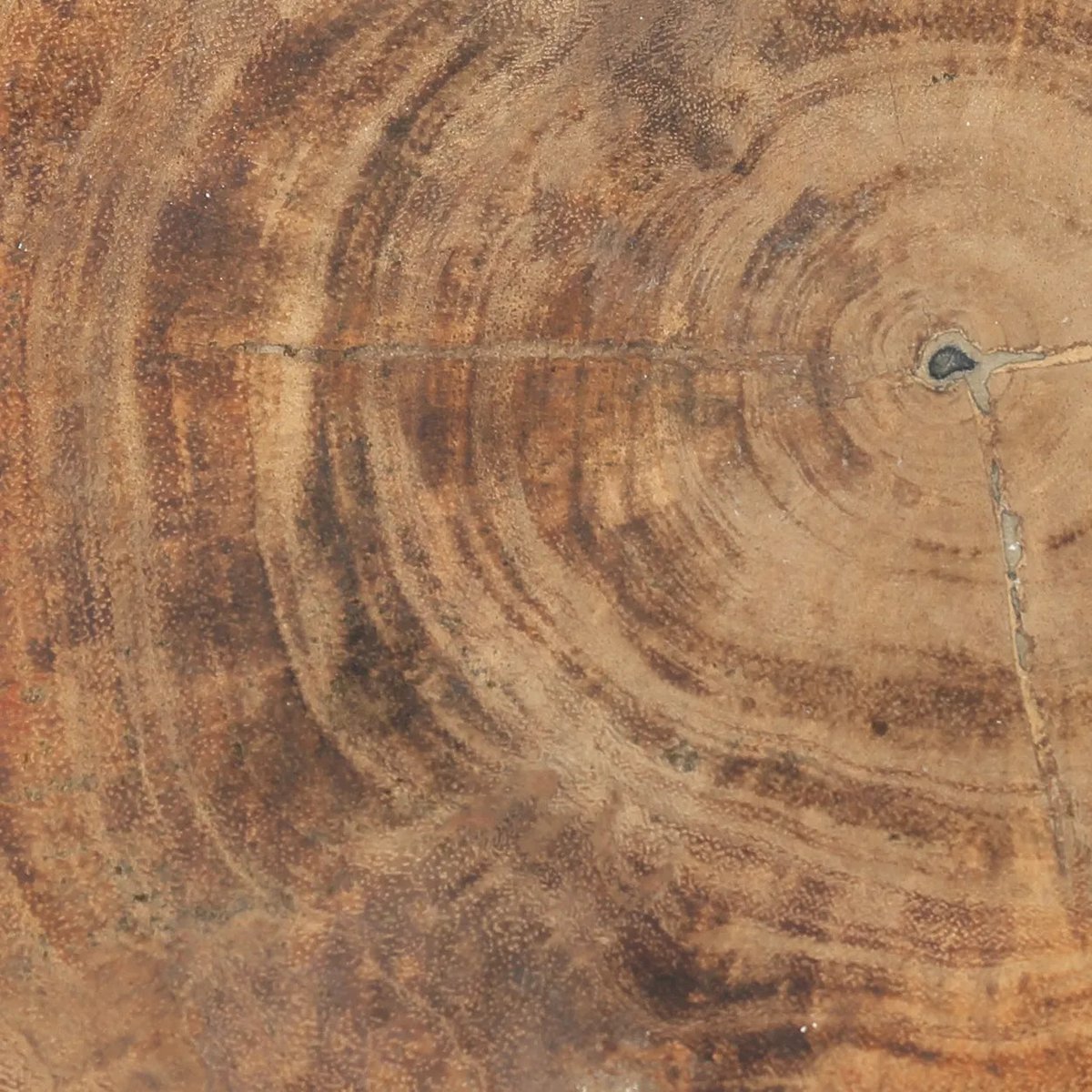 TRIBE HOCKER AUS MUNGURHOLZ (SCHWARZ)