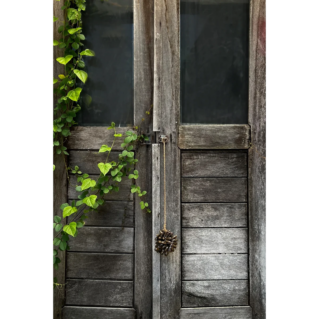 KAURI QUASTE (BRAUN)