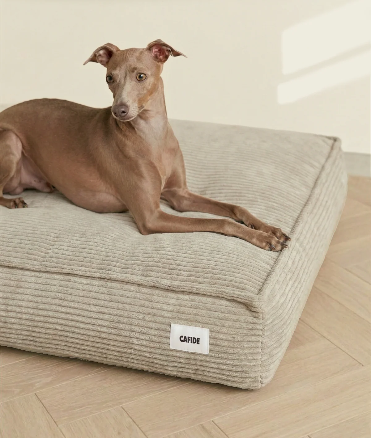 CUADRA HUNDEBETT MIT CORDBEZUG (BEIGE)