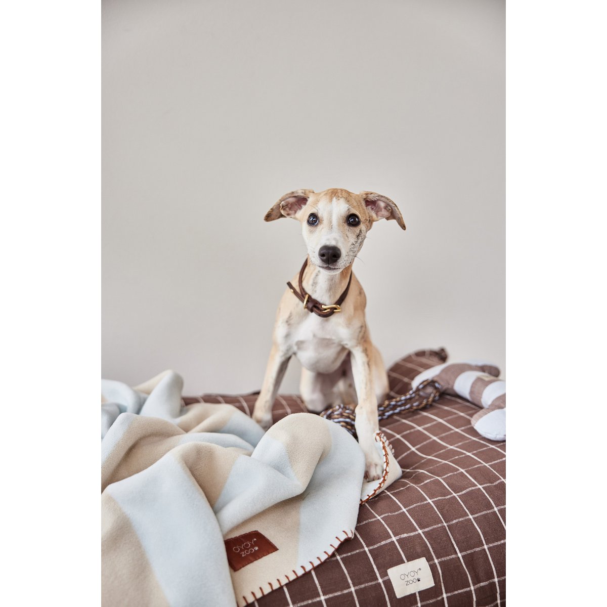 KAYA HUNDEDECKE (BLAU/BEIGE) - 80x70cm