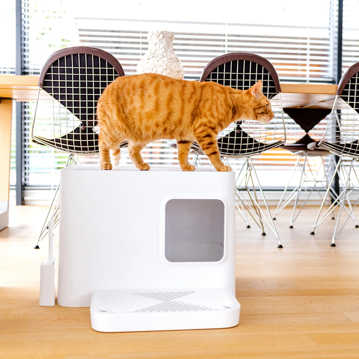 KATZENTOILETTE DOME PLUS
