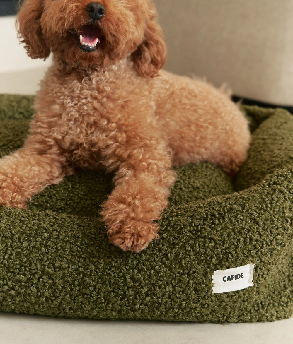 SNOZY HUNDEBETT MIT TEDDYFELL (GRÜN)