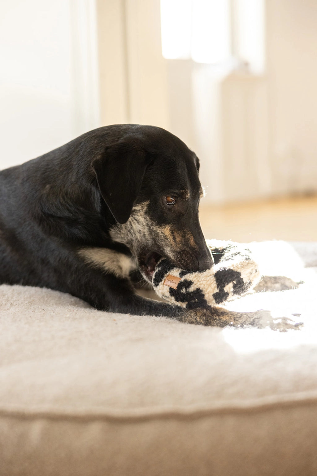 HUNDESPIELZEUG DONUT