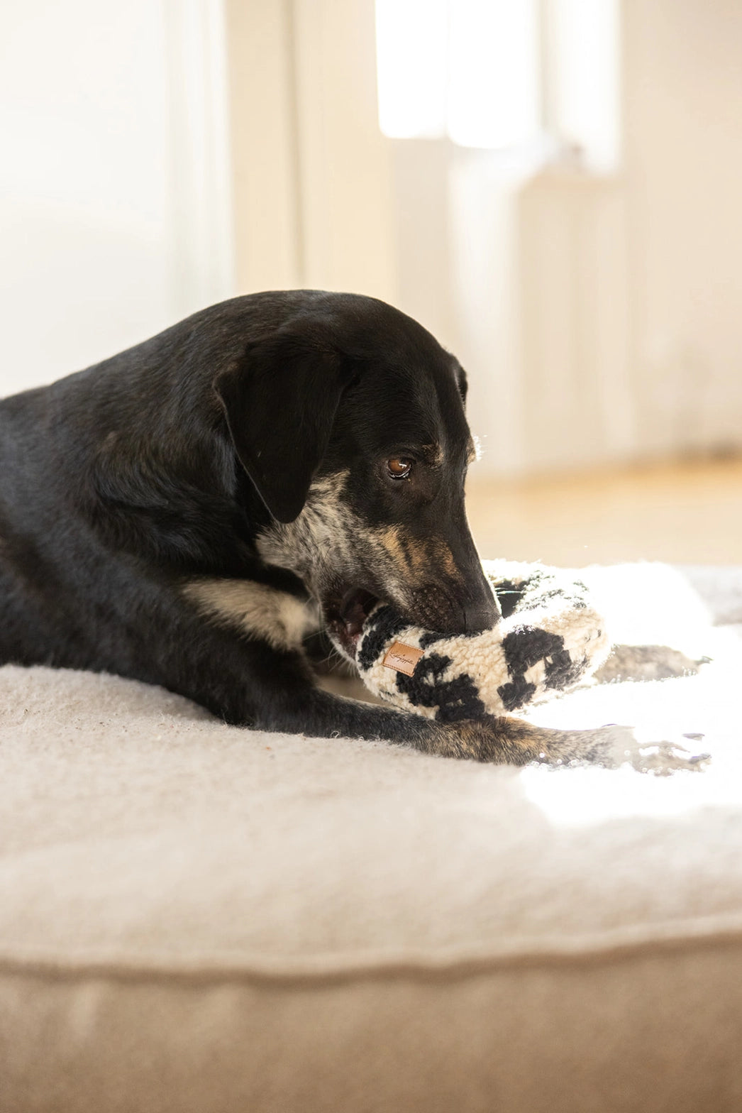 HUNDESPIELZEUG DONUT