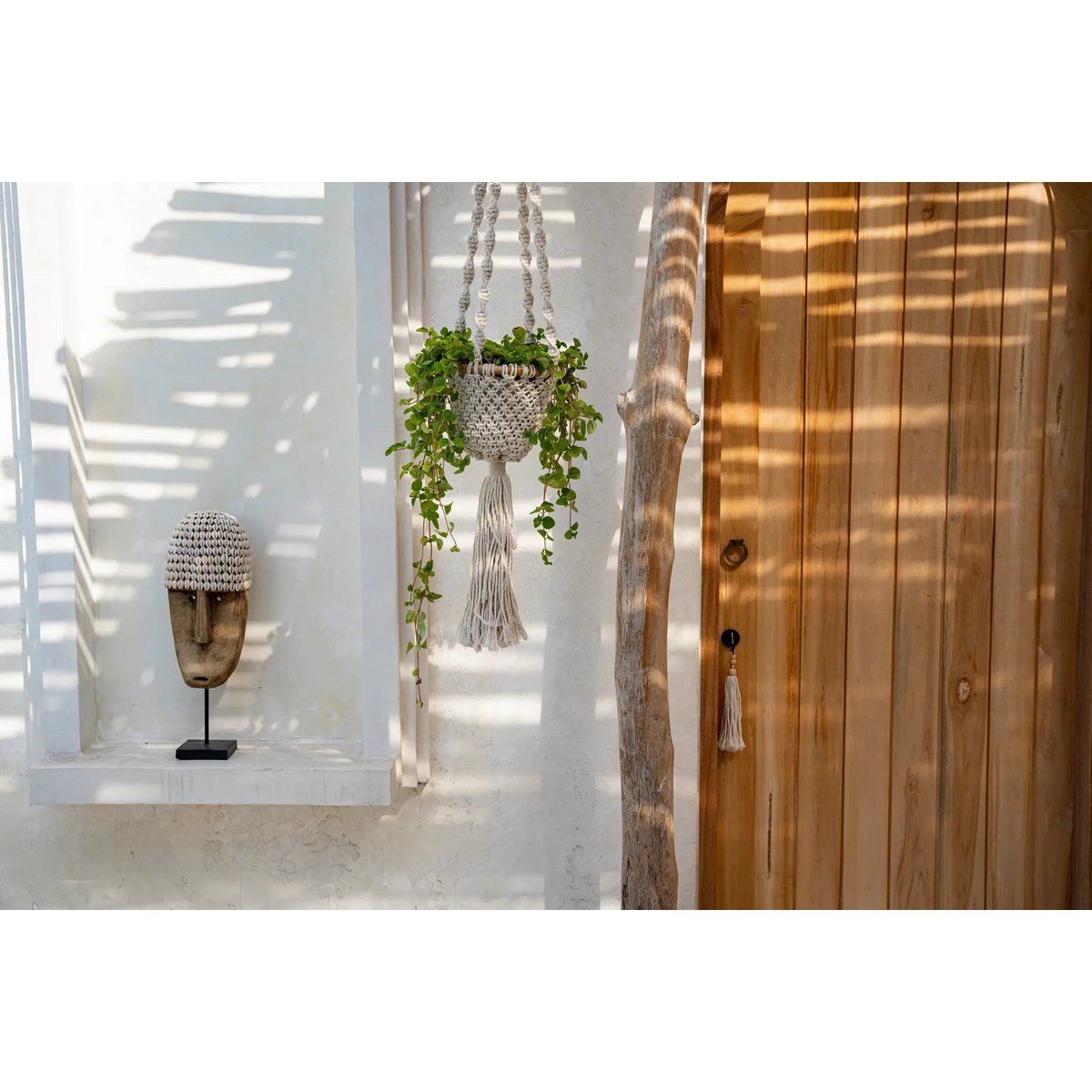 KAURIMASKE AUF STÄNDER - 40cm