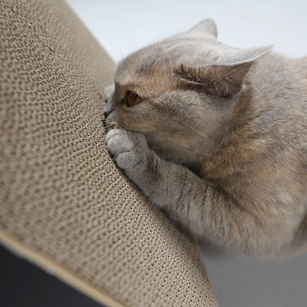 KATZEN KRATZBOARD - DREIECK