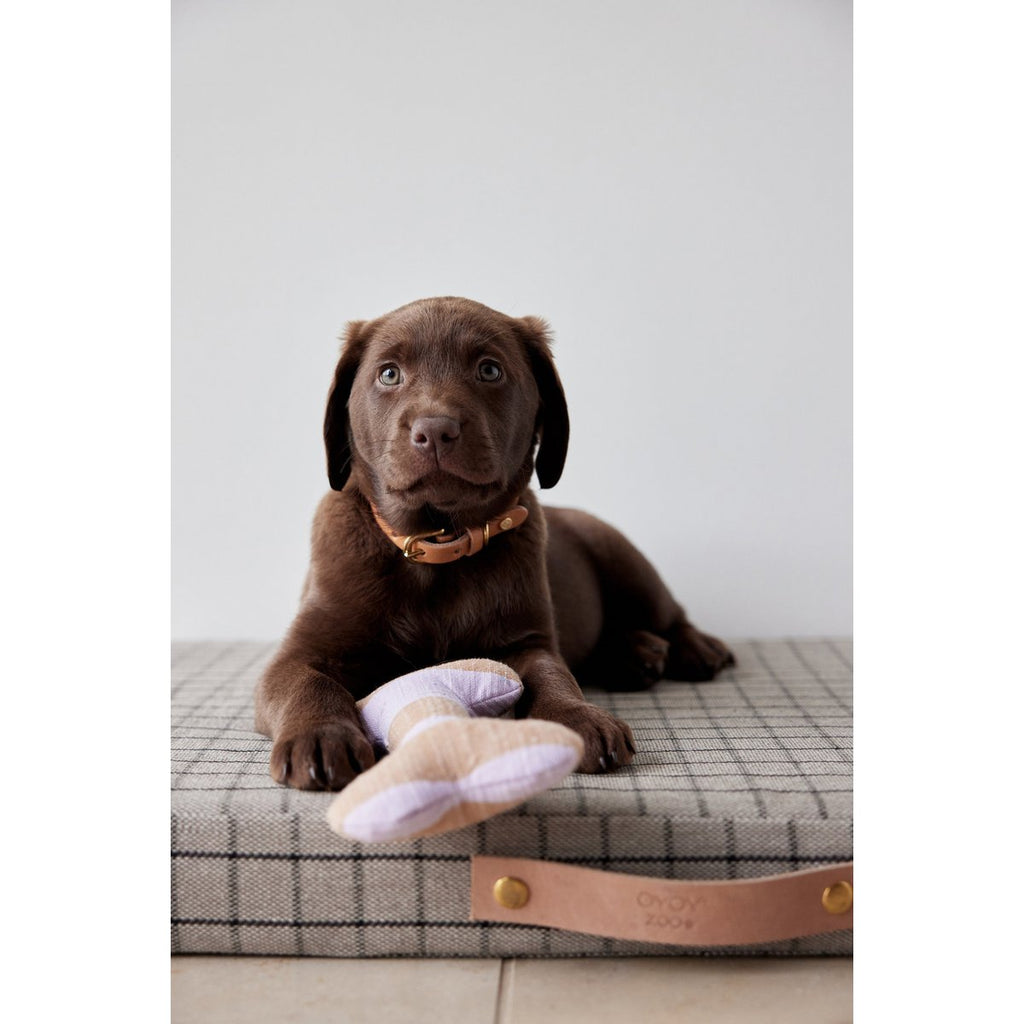 ASHI HUNDESPIELZEUG (BEIGE/ROSA)