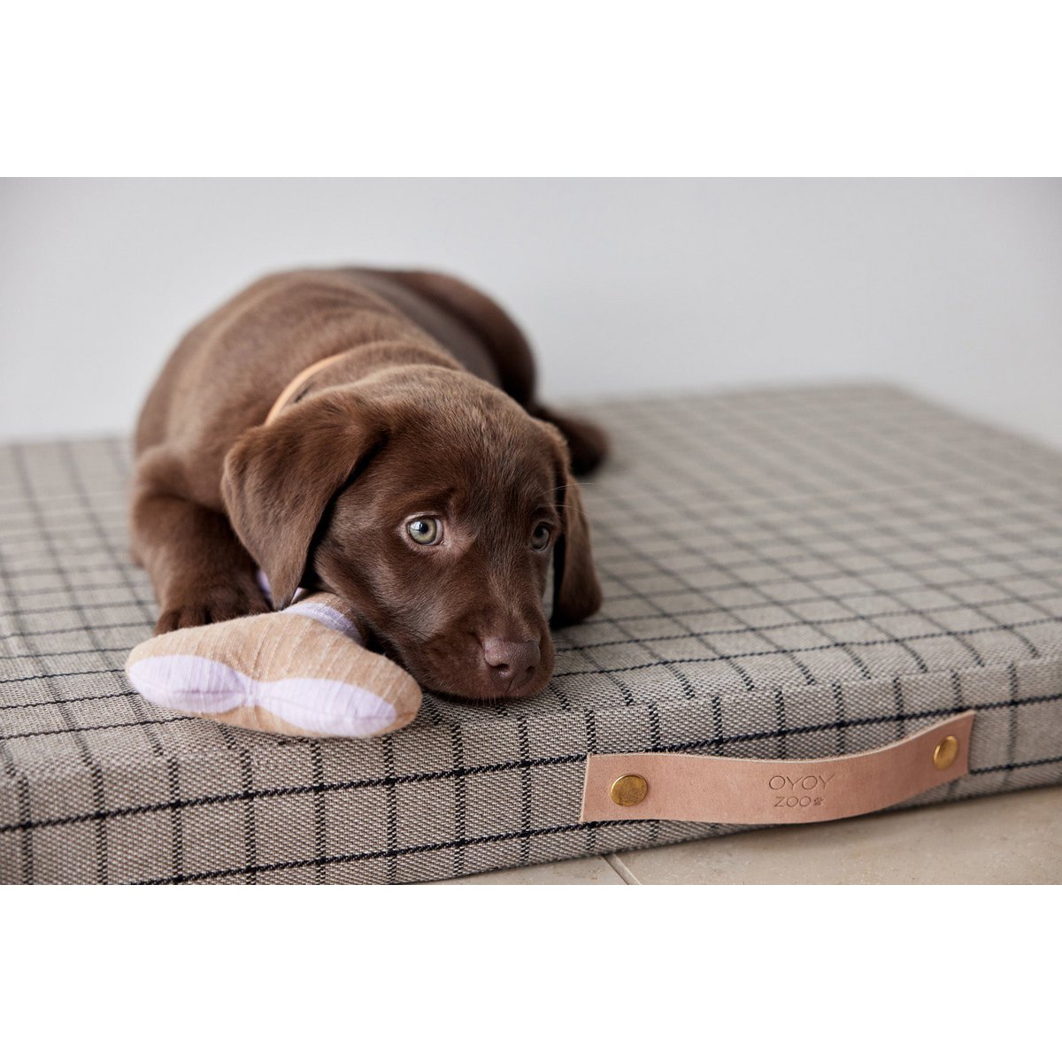 ASHI HUNDESPIELZEUG (BEIGE/ROSA)