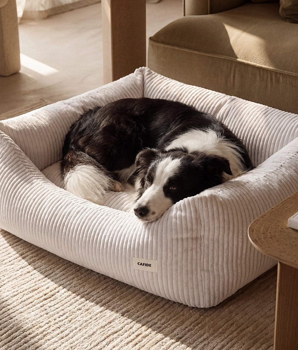 SNOZY HUNDEBETT AUS CORD (WEIß)