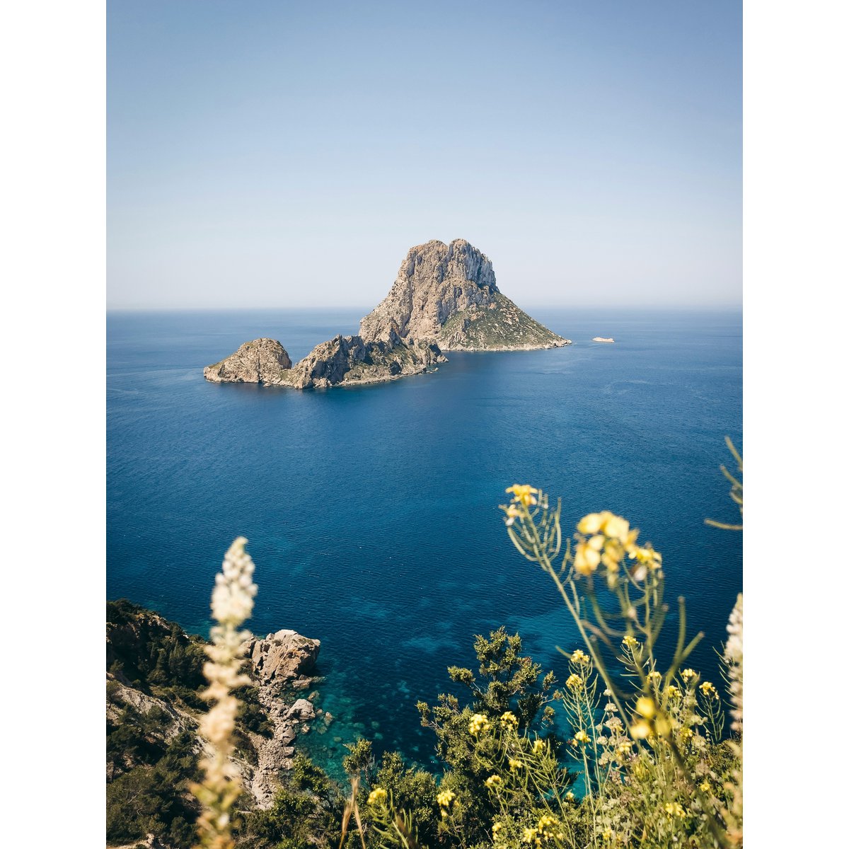 BUCH | ZU GAST AUF IBIZA